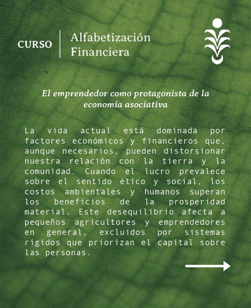 AlfabetizacionFinanciera1