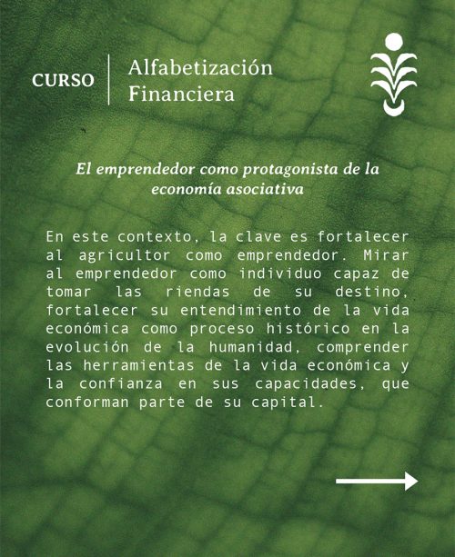 AlfabetizacionFinanciera2